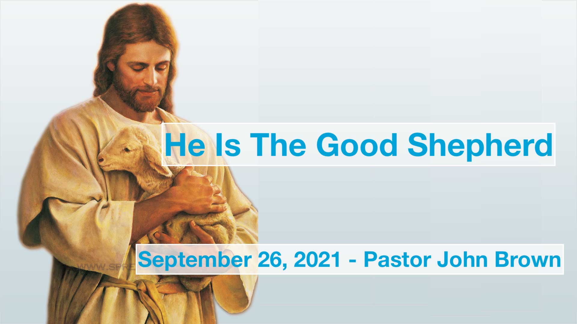 He Is The Good Shepherd