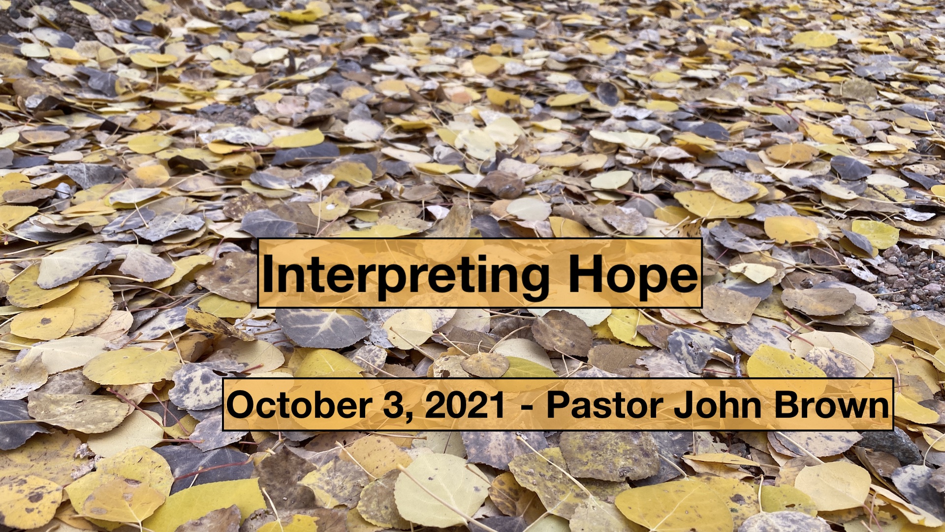 Interpreting Hope