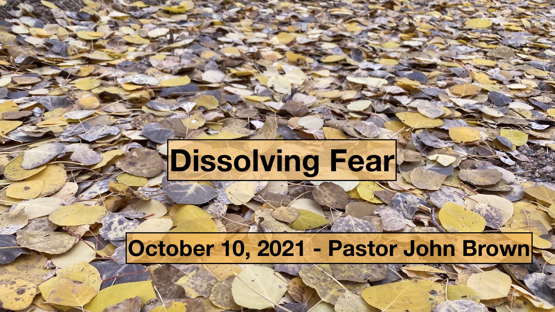 Dissolving Fear