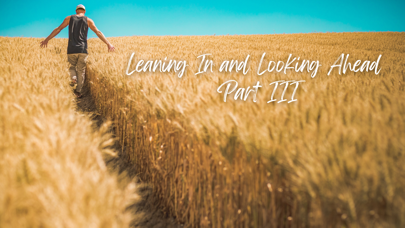 Leaning In and Looking Ahead (Part 3)