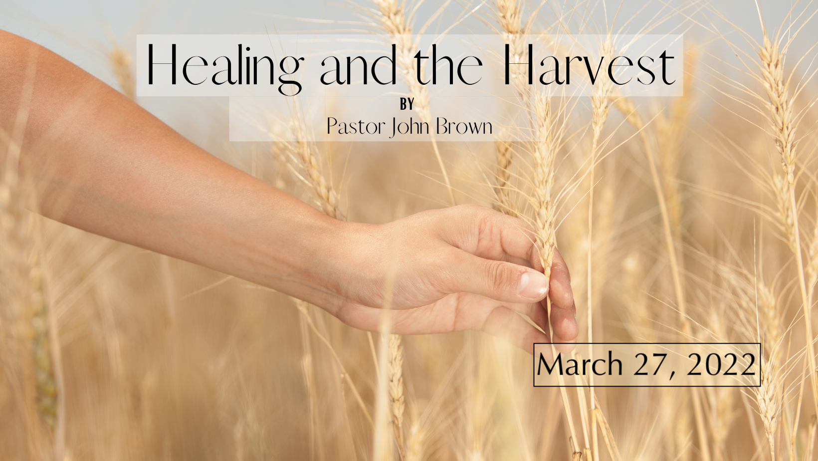 Healing And The Harvest