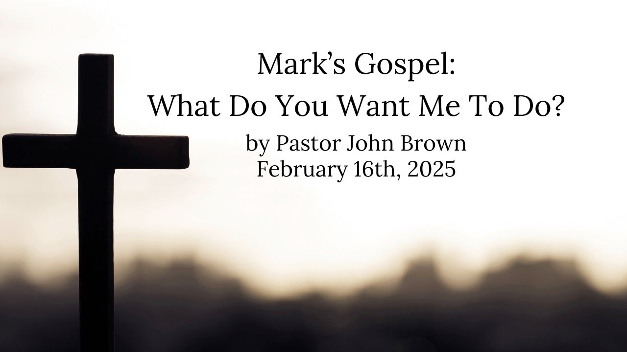 Mark’s Gospel:  What Do You Want Me To Do?