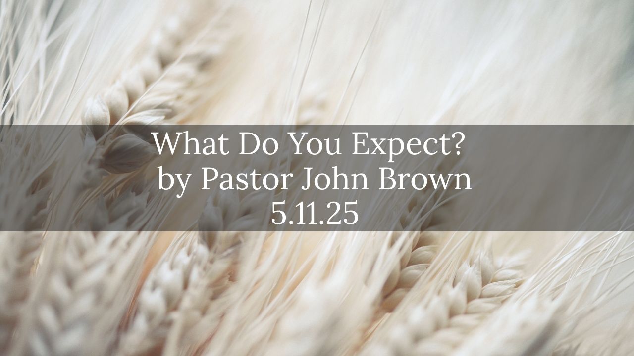 So What Do You Expect?