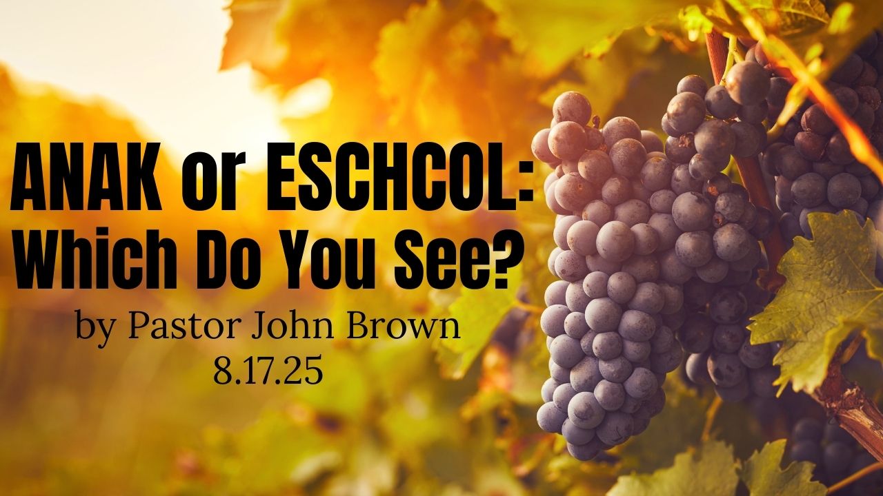 Anak or Eshcol: Which Do You See?